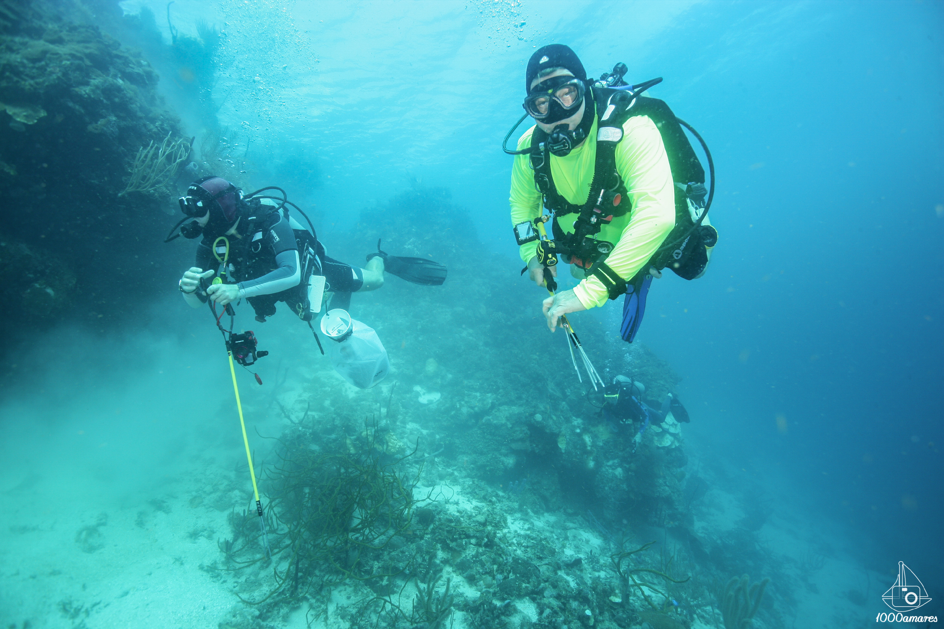 Lionfish Hunt